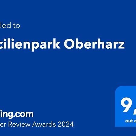 Cecilienpark Oberharz Villa Goslar Kültér fotó