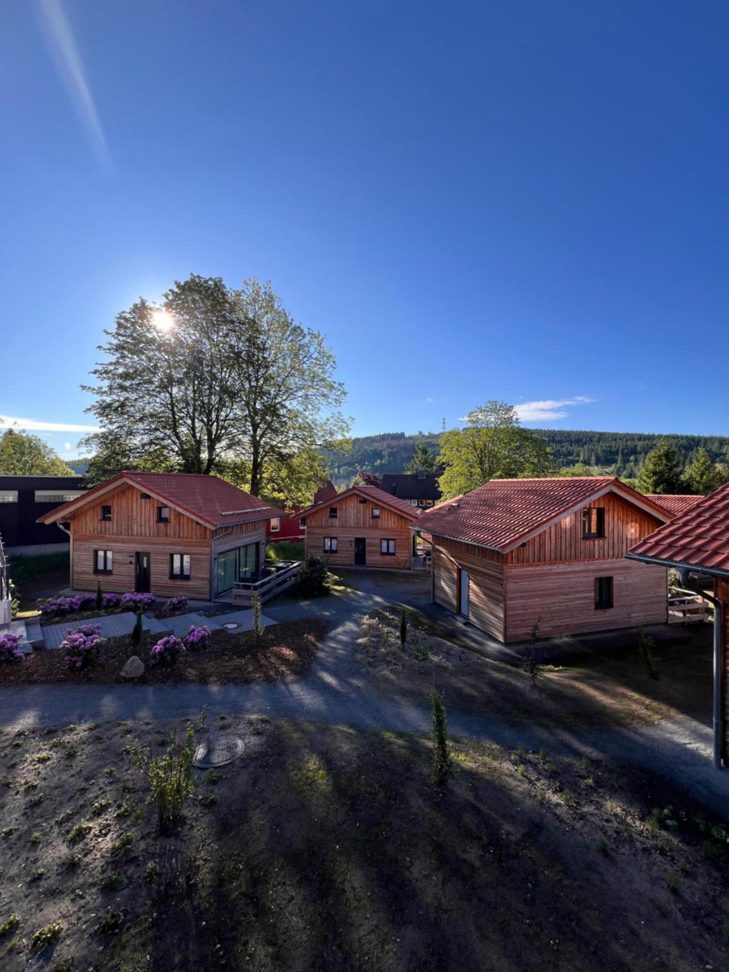 Cecilienpark Oberharz Villa Goslar Kültér fotó